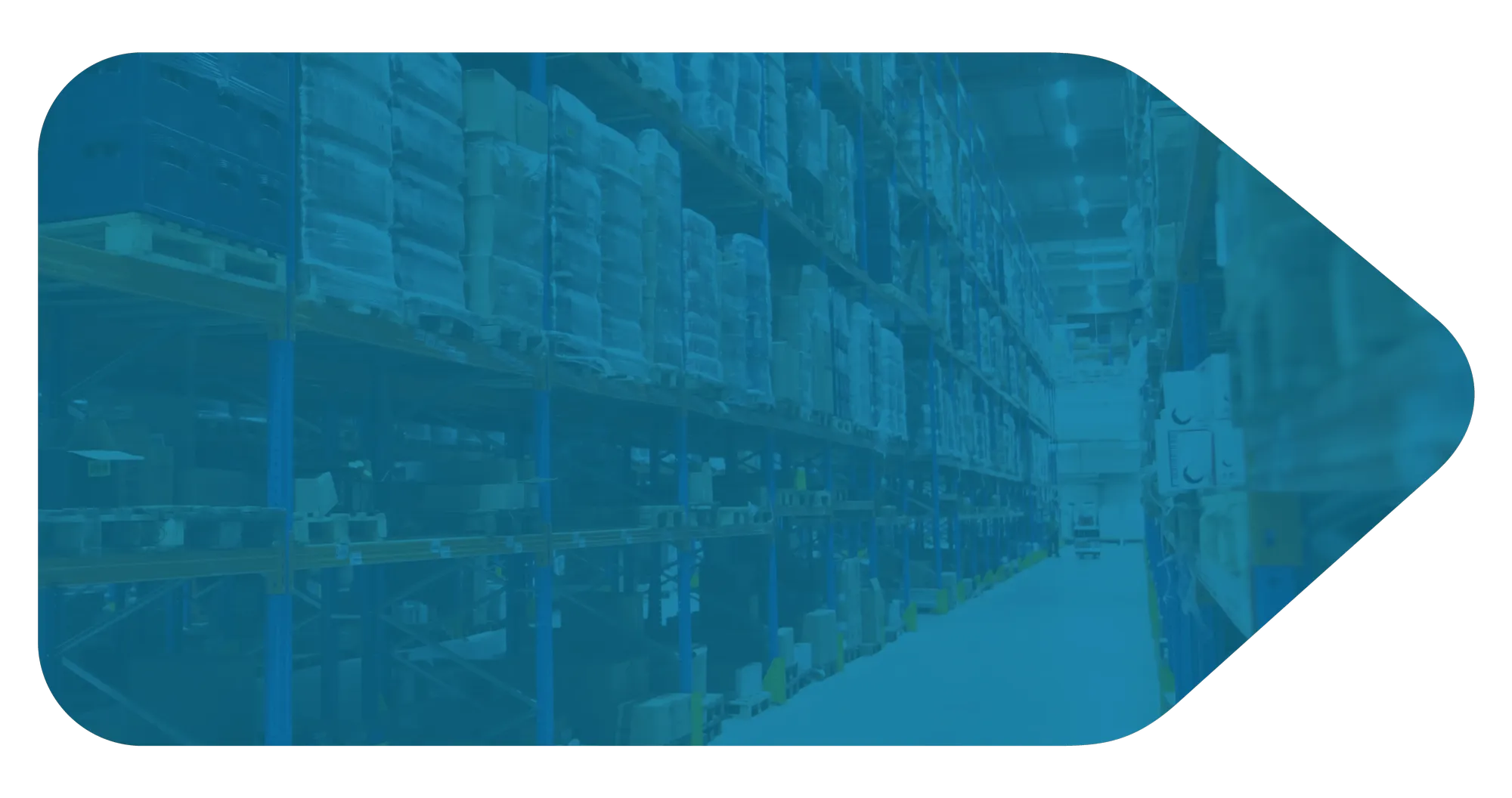 inventory management software 